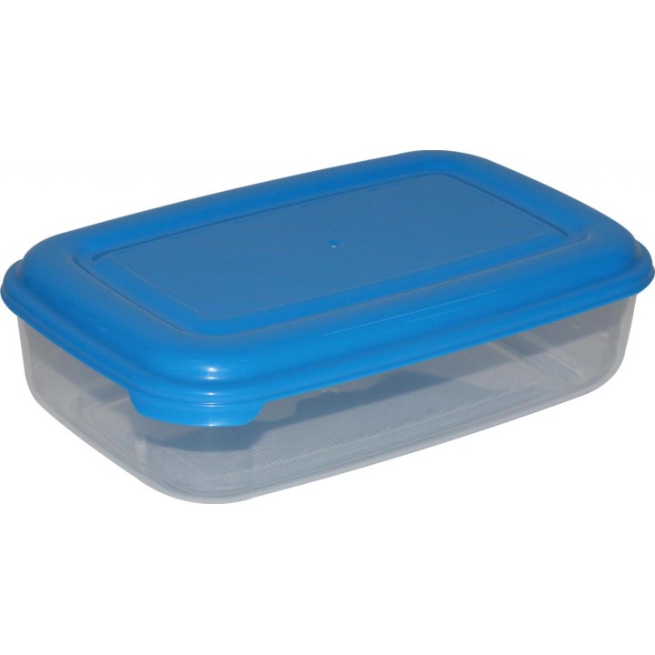 Ёмкость №39 прямоугольная с крышкой, 1 литр